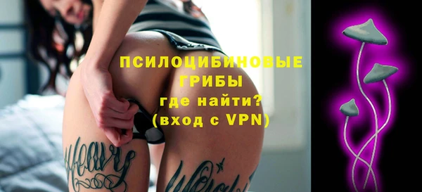 а пвп мука Абаза