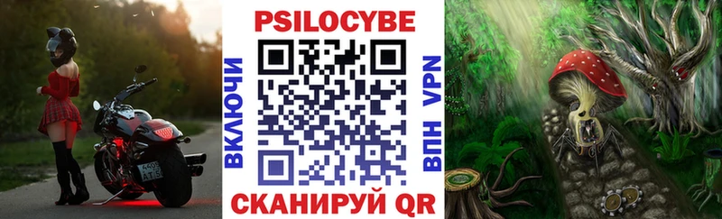 Псилоцибиновые грибы Magic Shrooms  Южа 